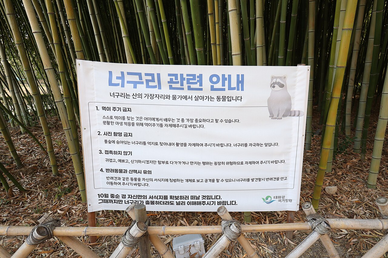 울산 태화강 국가정원 가을 풍경